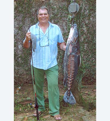Record photograph for Oxydoras niger
